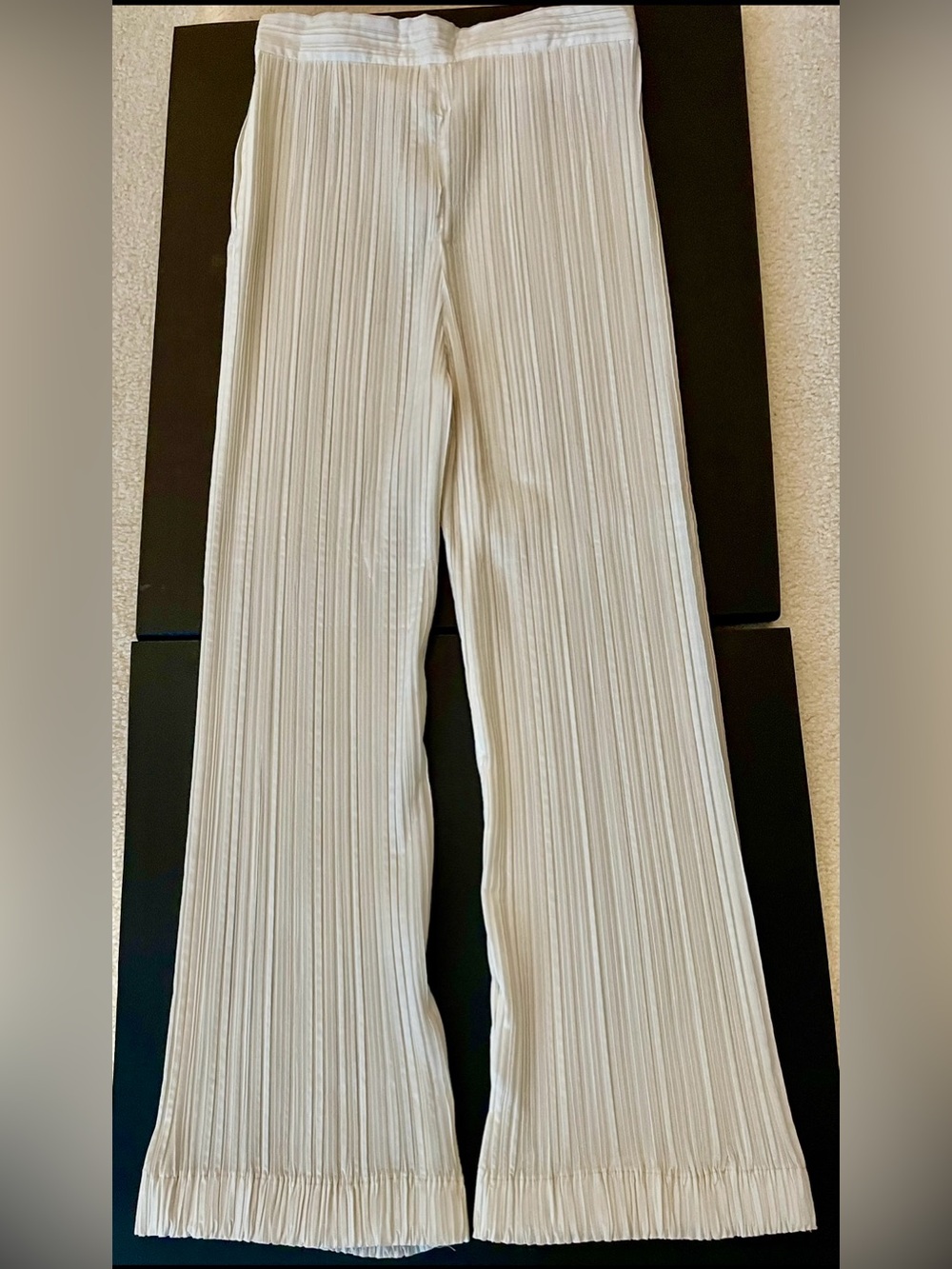 Rare Issey Miyake Elegant, White
Pleated Pants ,Pristine Condition🤍